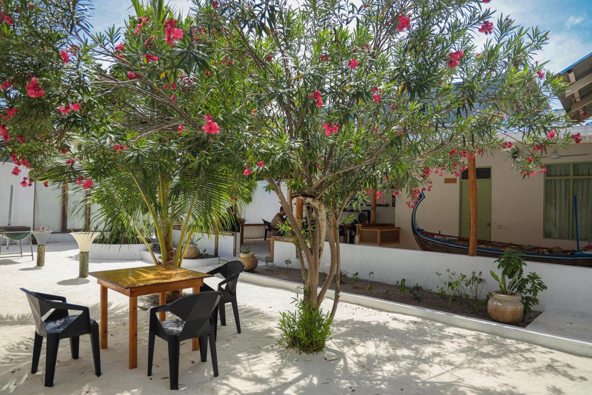 Shifa Lodge Maldives Feridhoo Buitenkant foto