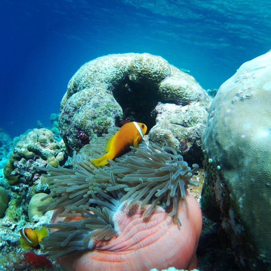 Shifa Lodge Maldives Feridhoo Buitenkant foto