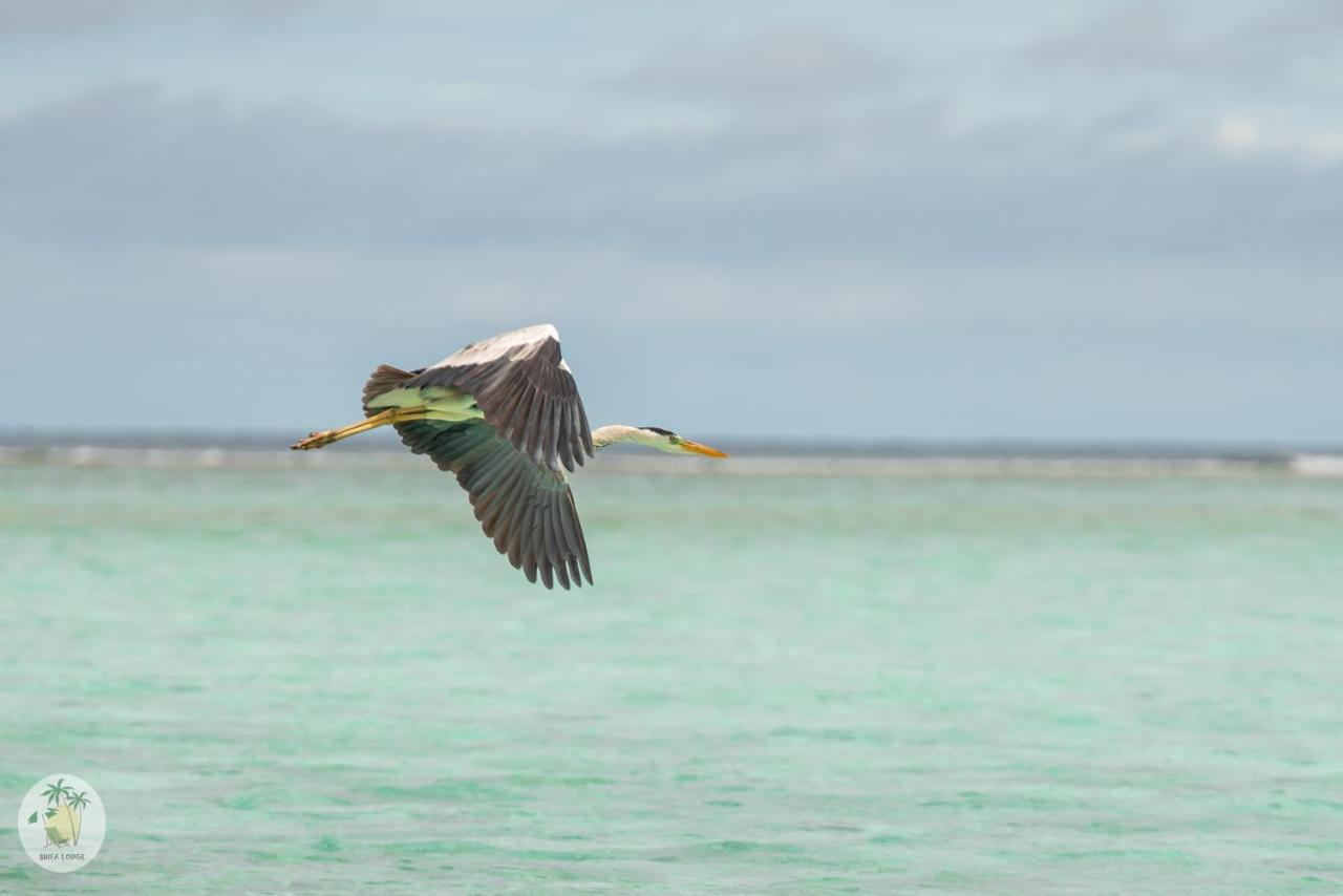 Shifa Lodge Maldives Feridhoo Buitenkant foto